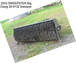 2003 SWEEPSTER Big Dawg 28-9132 Sweeper
