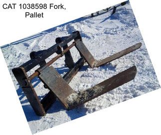 CAT 1038598 Fork, Pallet