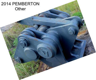 2014 PEMBERTON Other