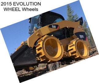 2015 EVOLUTION WHEEL Wheels