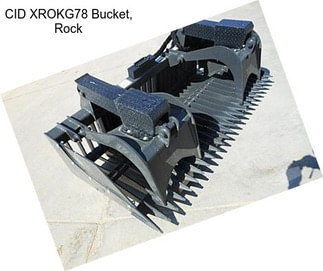 CID XROKG78 Bucket, Rock