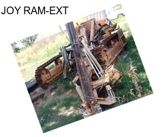 JOY RAM-EXT