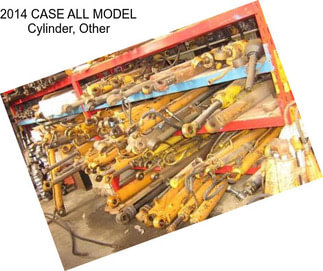 2014 CASE ALL MODEL Cylinder, Other