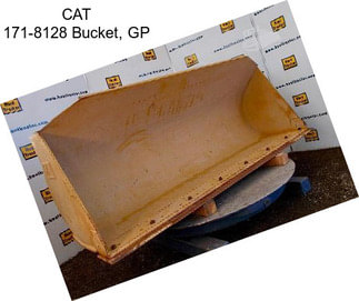 CAT 171-8128 Bucket, GP