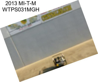 2013 MI-T-M WTPS031MGH