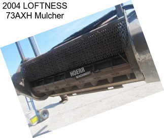 2004 LOFTNESS 73AXH Mulcher