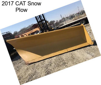 2017 CAT Snow Plow