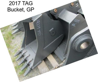 2017 TAG Bucket, GP