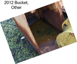 2012 Bucket, Other