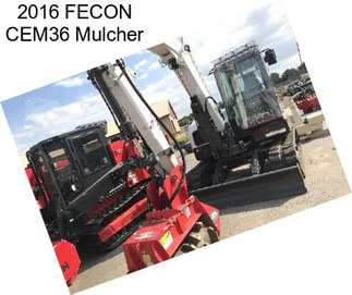 2016 FECON CEM36 Mulcher