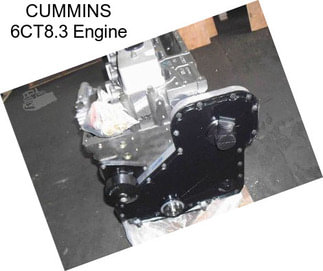 CUMMINS 6CT8.3 Engine