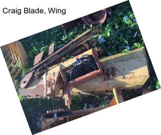 Craig Blade, Wing