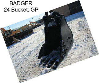 BADGER 24\