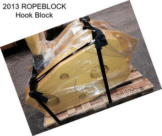 2013 ROPEBLOCK Hook Block