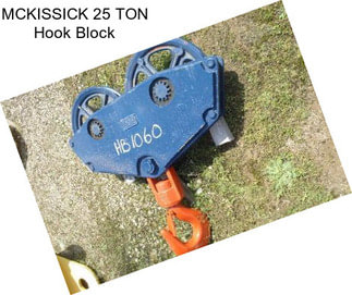 MCKISSICK 25 TON Hook Block