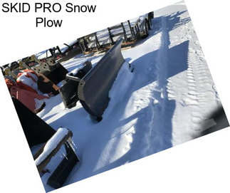 SKID PRO Snow Plow