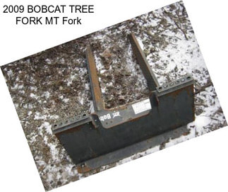 2009 BOBCAT TREE FORK MT Fork