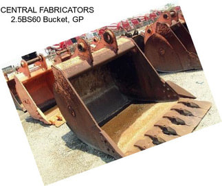 CENTRAL FABRICATORS 2.5BS60 Bucket, GP