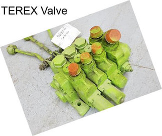 TEREX Valve