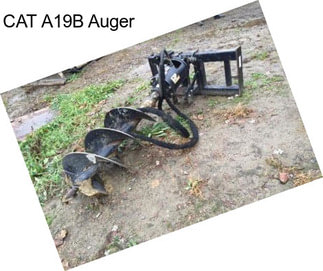 CAT A19B Auger