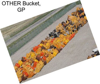 OTHER Bucket, GP