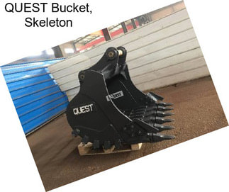 QUEST Bucket, Skeleton