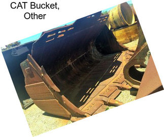 CAT Bucket, Other