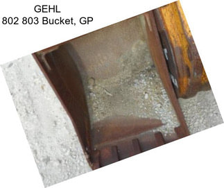 GEHL 802 803 Bucket, GP