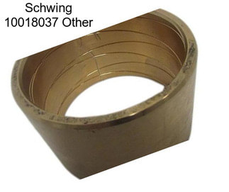 Schwing 10018037 Other