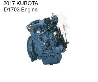 2017 KUBOTA D1703 Engine