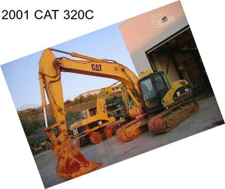 2001 CAT 320C
