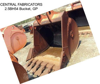 CENTRAL FABRICATORS 2.5BH54 Bucket, GP