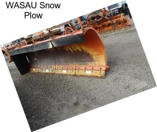 WASAU Snow Plow