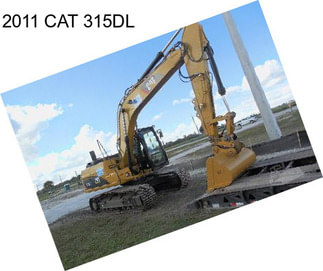 2011 CAT 315DL