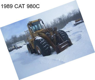 1989 CAT 980C