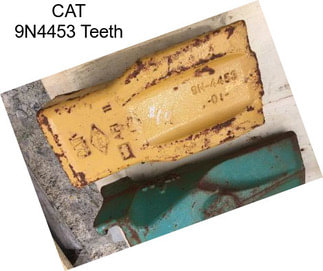 CAT 9N4453 Teeth