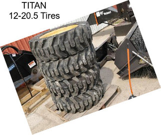 TITAN 12-20.5 Tires