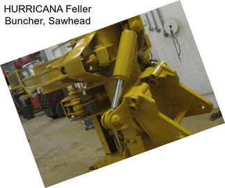 HURRICANA Feller Buncher, Sawhead