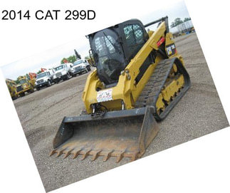 2014 CAT 299D