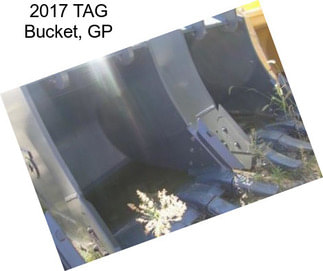 2017 TAG Bucket, GP