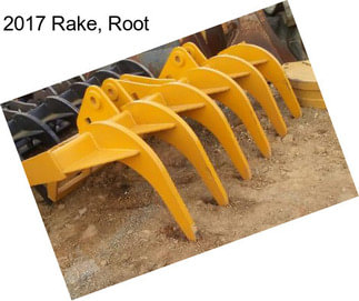 2017 Rake, Root