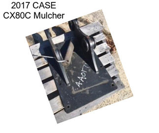 2017 CASE CX80C Mulcher