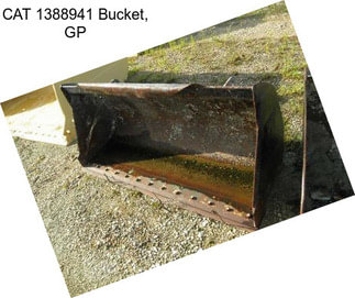 CAT 1388941 Bucket, GP