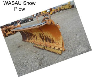 WASAU Snow Plow