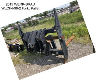 2015 WERK-BRAU WLCF4-96-2 Fork, Pallet