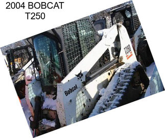 2004 BOBCAT T250