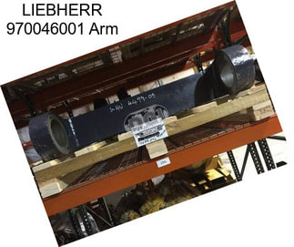 LIEBHERR 970046001 Arm