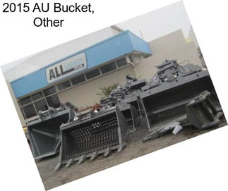 2015 AU Bucket, Other