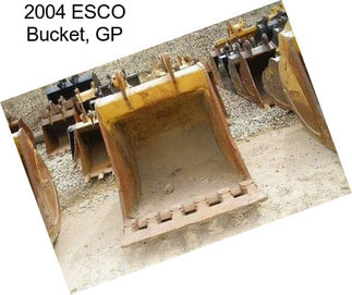 2004 ESCO Bucket, GP