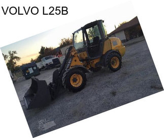 VOLVO L25B